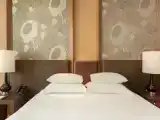 Двухместный номер Sky Superior