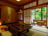 Двухместный номер Tatami Area