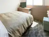 Номер Semi-Double