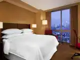 Двухместный номер Business