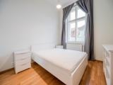Двухместные апартаменты Drazickeho Namesti