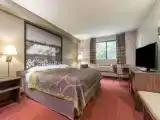 Двухместный Studio Suite