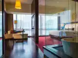 Двухместный полулюкс Club Lounge Access