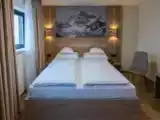 Двухместный номер Renovated Стандарт