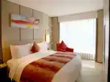 Двухместный люкс Business Deluxe с видом на город