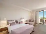 Двухместный номер Premium
