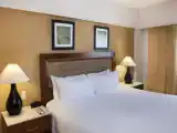 Двухместный люкс Premium Level