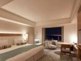 Двухместный номер Luxury Rainbow Bridge Side Premier Floor
