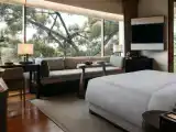 Двухместный номер Premier с видом на сад