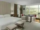 Двухместный люкс Grand c 1 комнатой с видом на сад