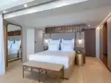 Двухместный люкс Horizon Open Plan Plunge Pool