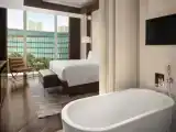 Двухместный полулюкс Executive Lounge Access c 1 комнатой