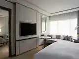 Двухместный Executive Lounge Access люкс c 1 комнатой