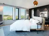 Двухместный люкс Penthouse