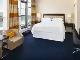 Двухместный люкс Presidential Parlor Terrace