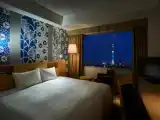 Двухместный номер Superior с видом на город