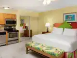 Двухместная студия