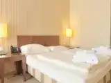 Одноместный номер Executive