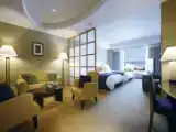 Двухместный Semi-Suite Granvia Premium