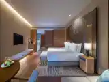 Номер Premium