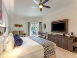 Двухместный люкс Diamond Club Luxury Presidential c 1 комнатой с видом на сад