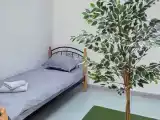 Трёхместный номер семейный Deluxe