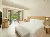 Двухместный номер Deluxe с доступом в бассейн