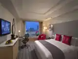 Двухместный клубный номер Carlton
