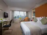 Двухместный номер Deluxe с видом на город