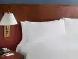 Двухместный номер Premium
