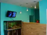 Run of House