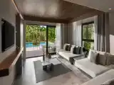 Люкс Swim Up Семейный Большой