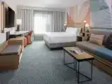 Двухместный номер Skyline