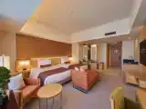 Двухместный номер Premier Deluxe