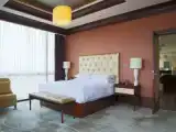 Двухместный люкс Club Lounge Access CBD View Presidential