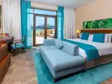 Двухместный номер Luxury с балконом и с видом на пальмы