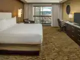 Двухместный люкс Governor with Whirlpool Tub