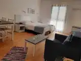 Одноместный Studio Apartment