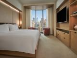 Номер Skyline view