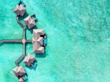 Двухместная вилла Plunge Pool Overwater с видом на океан