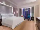 Двухместный Club Lounge Access номер с видом на город