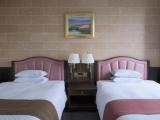 Двухместный номер Executive Castle View High Floor