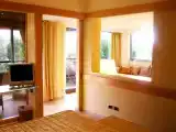 Двухместный Mini Suite