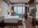 Двухместный номер Executive Lounge Access с видом на город