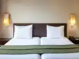 Двухместный полулюкс Terrace