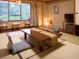 Номер Japanese-style (10 tatami mats)