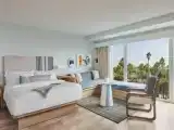 Двухместный люкс клубный с видом на парк
