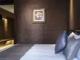 Двухместный люкс Business