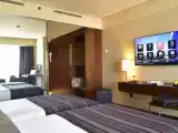 Двухместный номер Executive