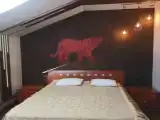 Полулюкс Мансарда с 2 комнатами